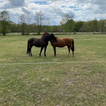 Kleine Auszeit Im Seenland Daire