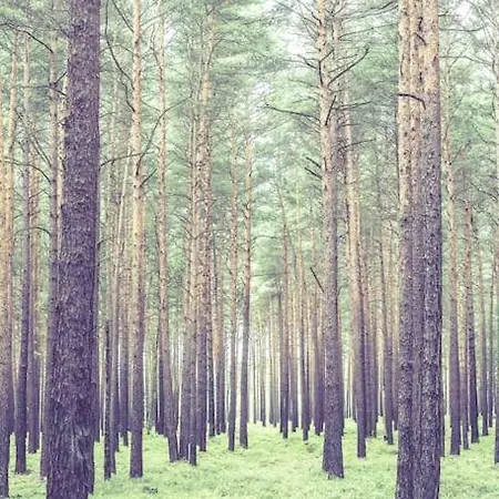 Kleine Auszeit Im Seenland Hohenbocka