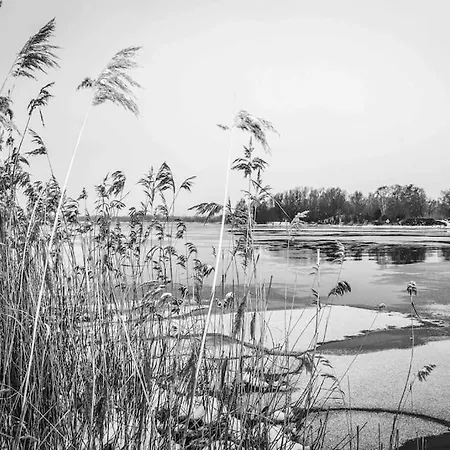 Kleine Auszeit Im Seenland 公寓