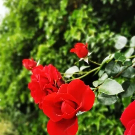 Kleine Auszeit Im Seenland Daire