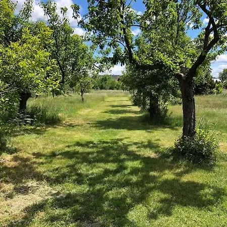 Apartment Kleine Auszeit Im Seenland Hohenbocka
