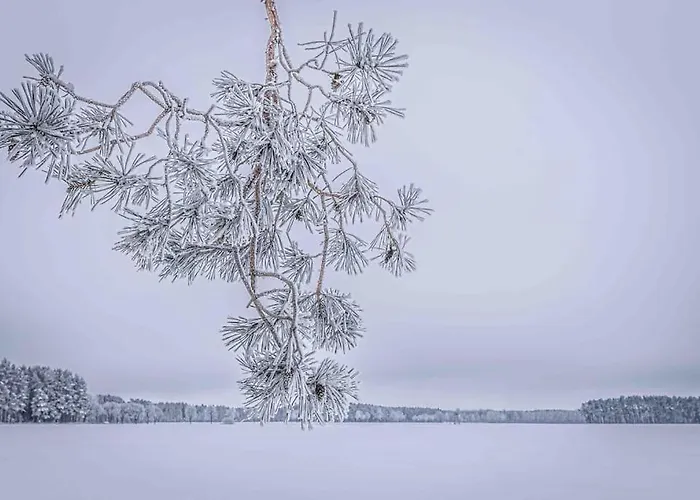 Kleine Auszeit Im Seenland Daire *