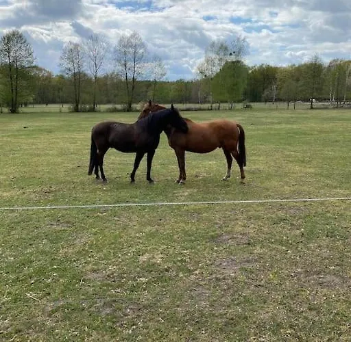 Kleine Auszeit Im Seenland Daire