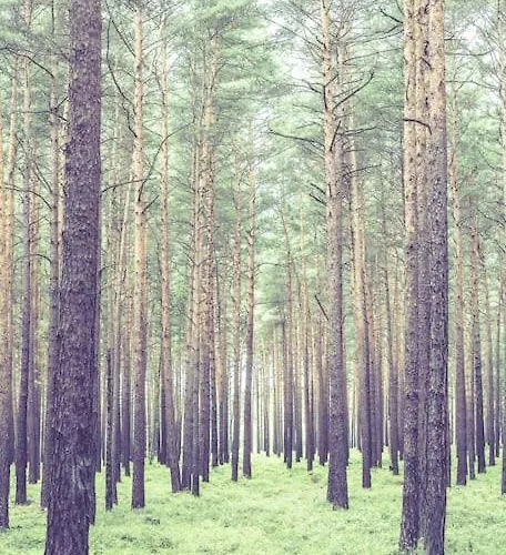 Kleine Auszeit Im Seenland Hohenbocka