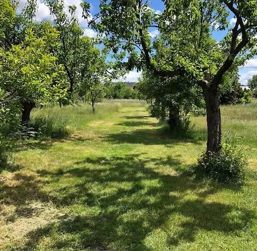 Daire Kleine Auszeit Im Seenland Hohenbocka